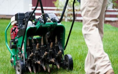 5 Benefits of Lawn Aerator Hire for Your Garden